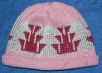 Little Foot Native Basketry Mark on this Baby Indian Beanie Acrylic