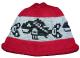 Pacific Northwest Art Style Baby Salmon Design on Knit Native Cap